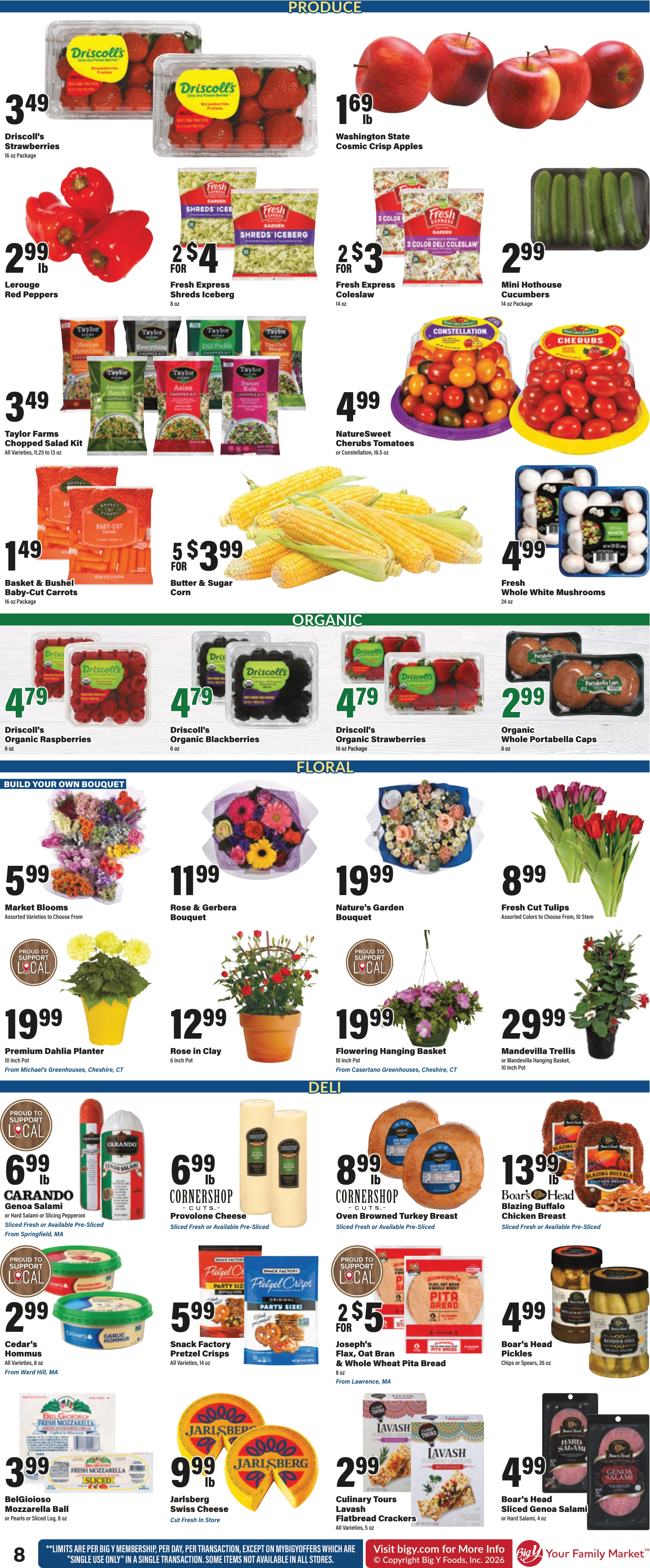 Flyer page 11