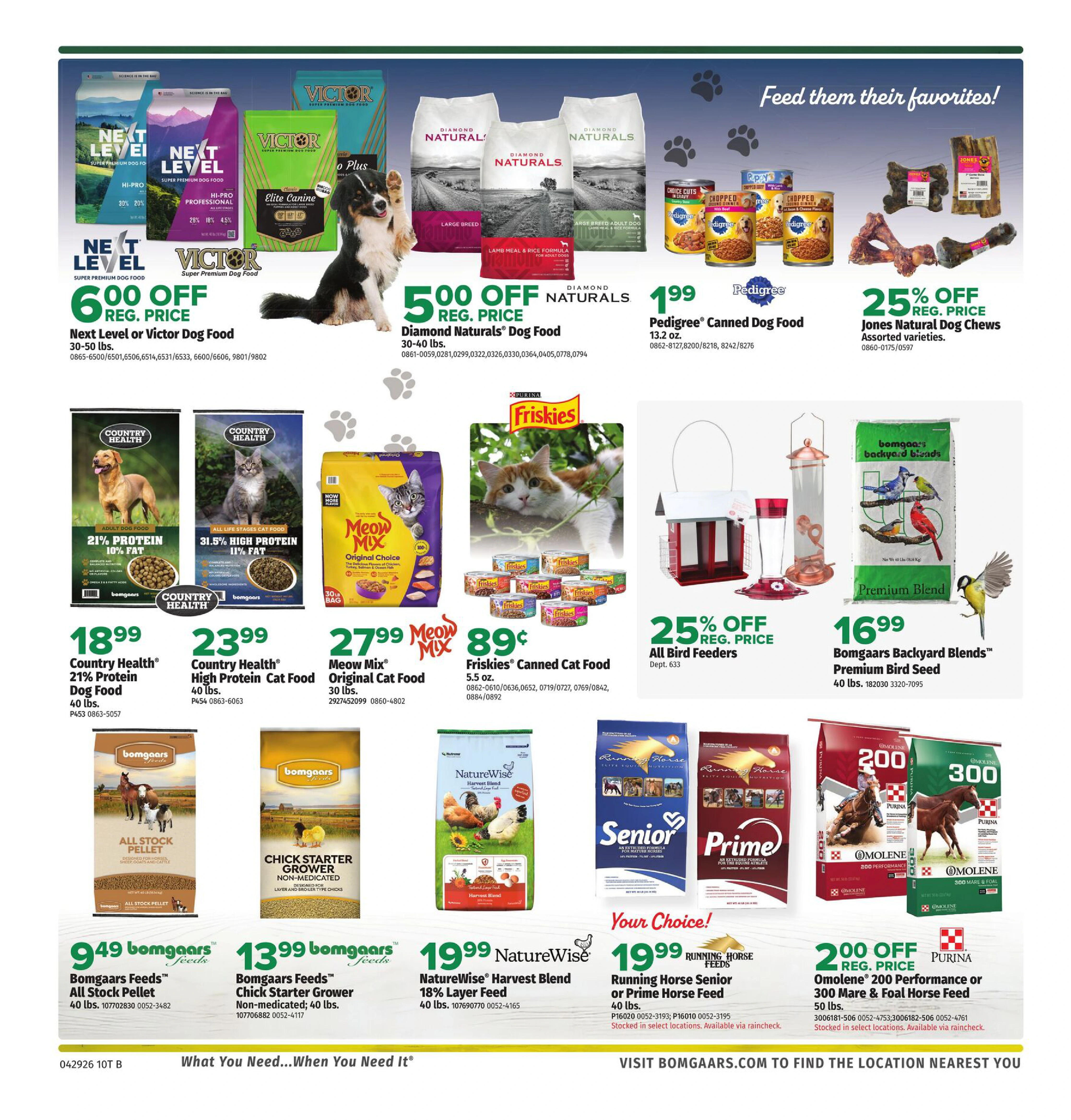 Flyer page 10