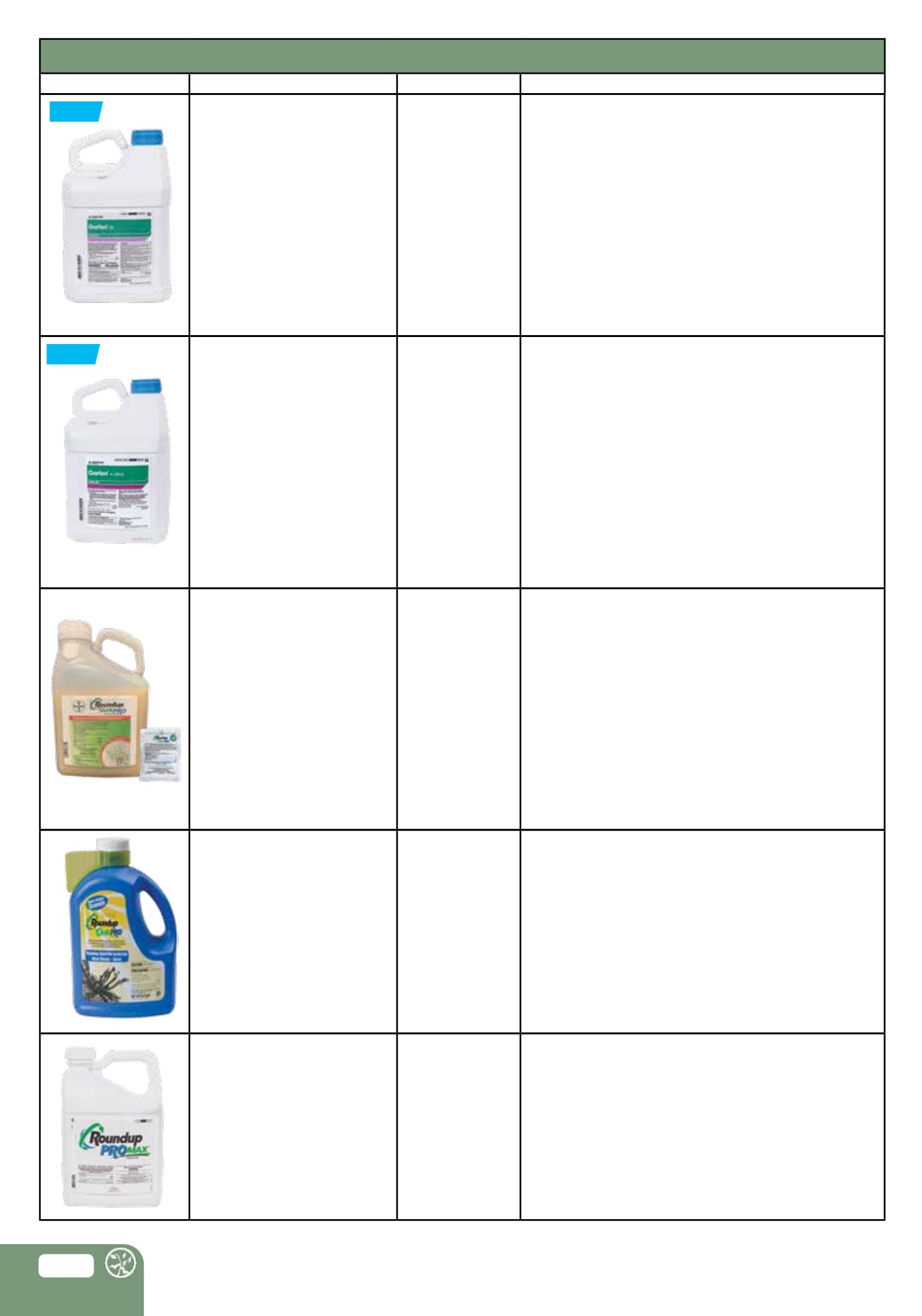 Flyer page 100