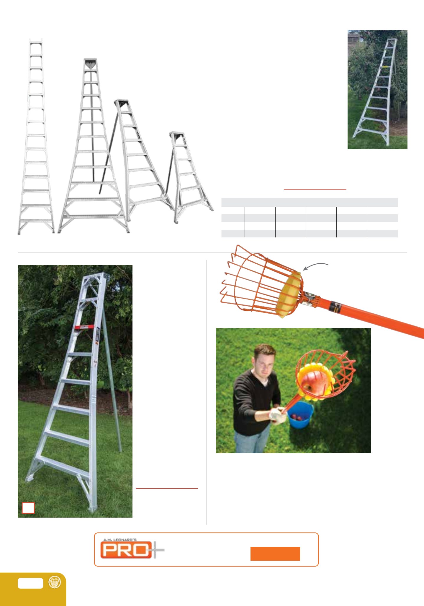 Flyer page 42