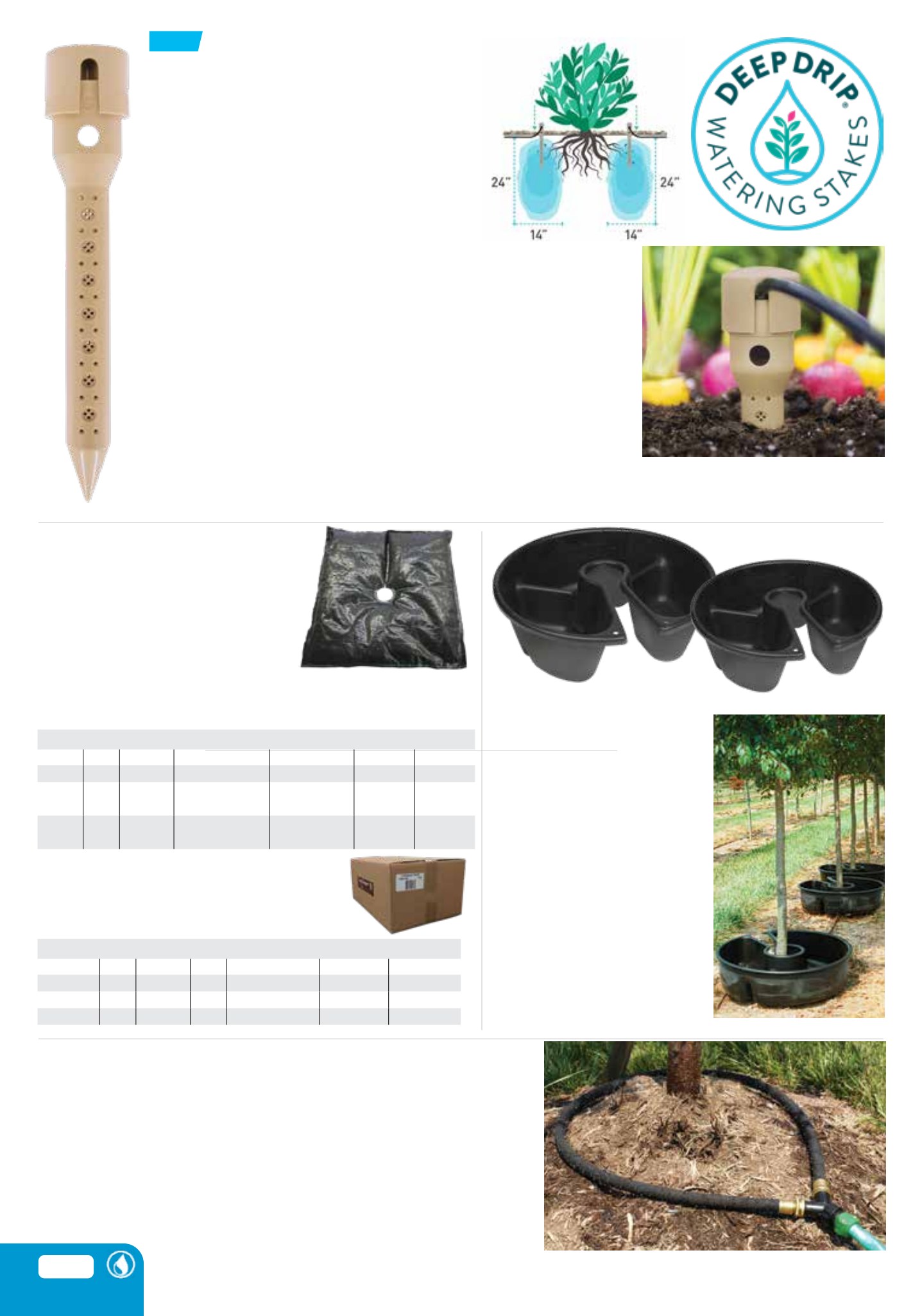 Flyer page 46