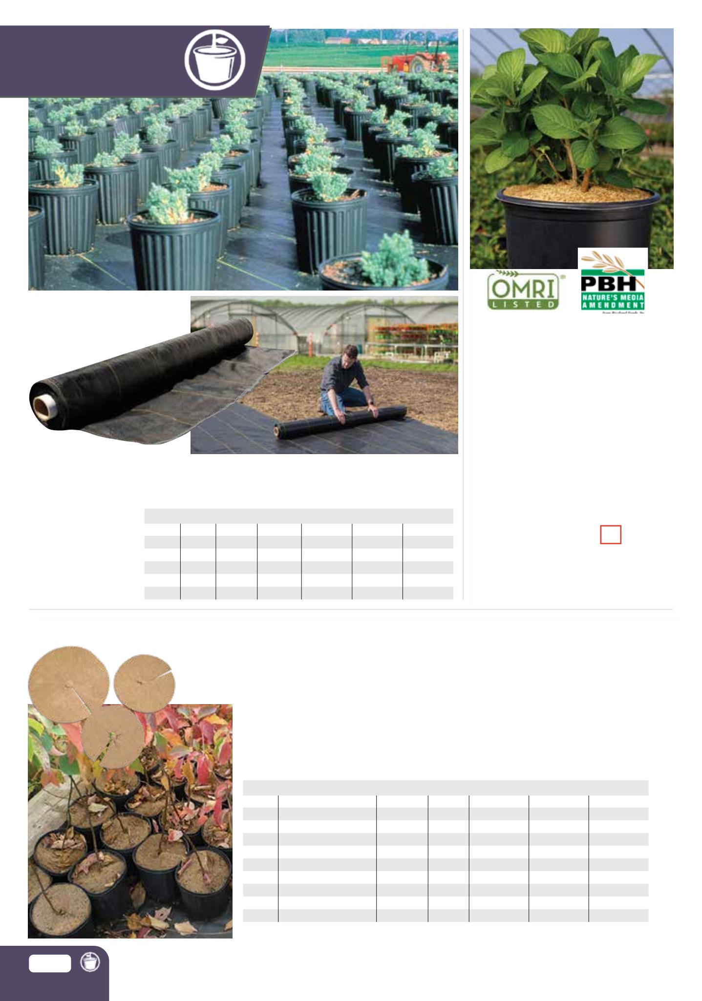 Flyer page 58