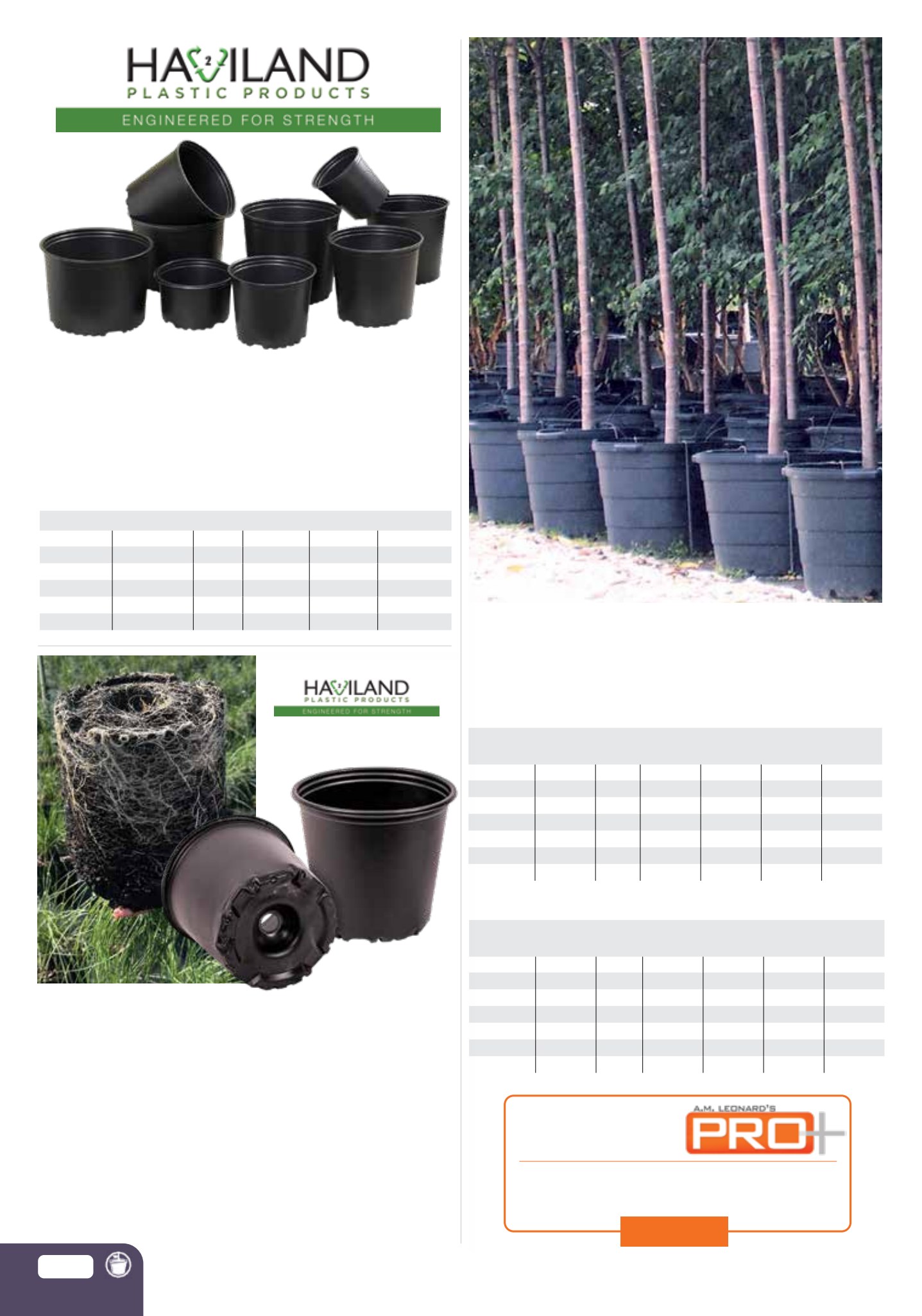 Flyer page 62