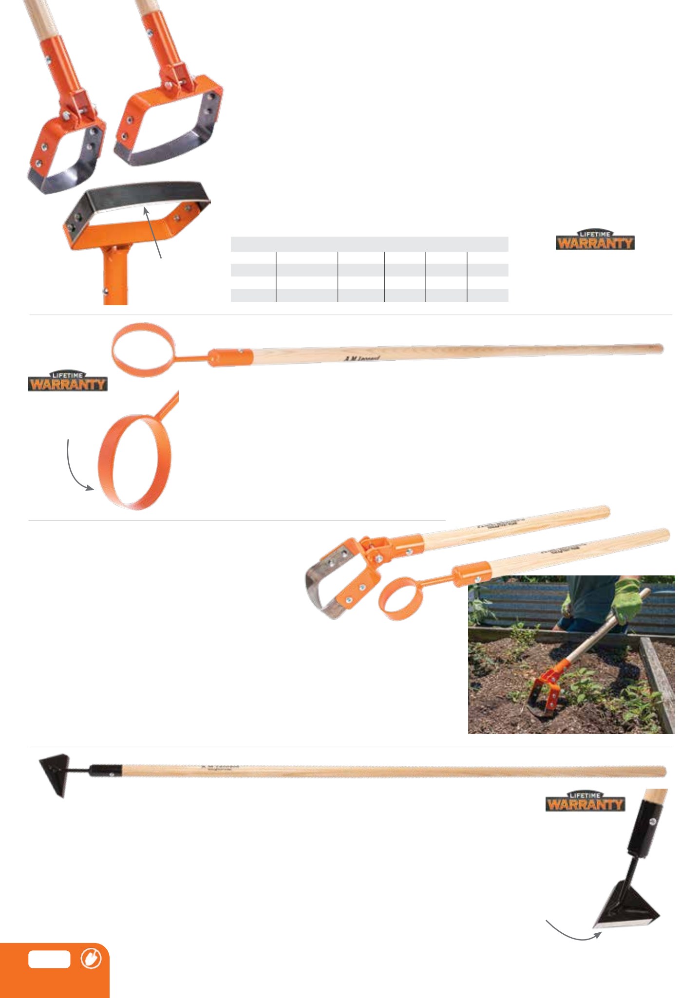 Flyer page 12