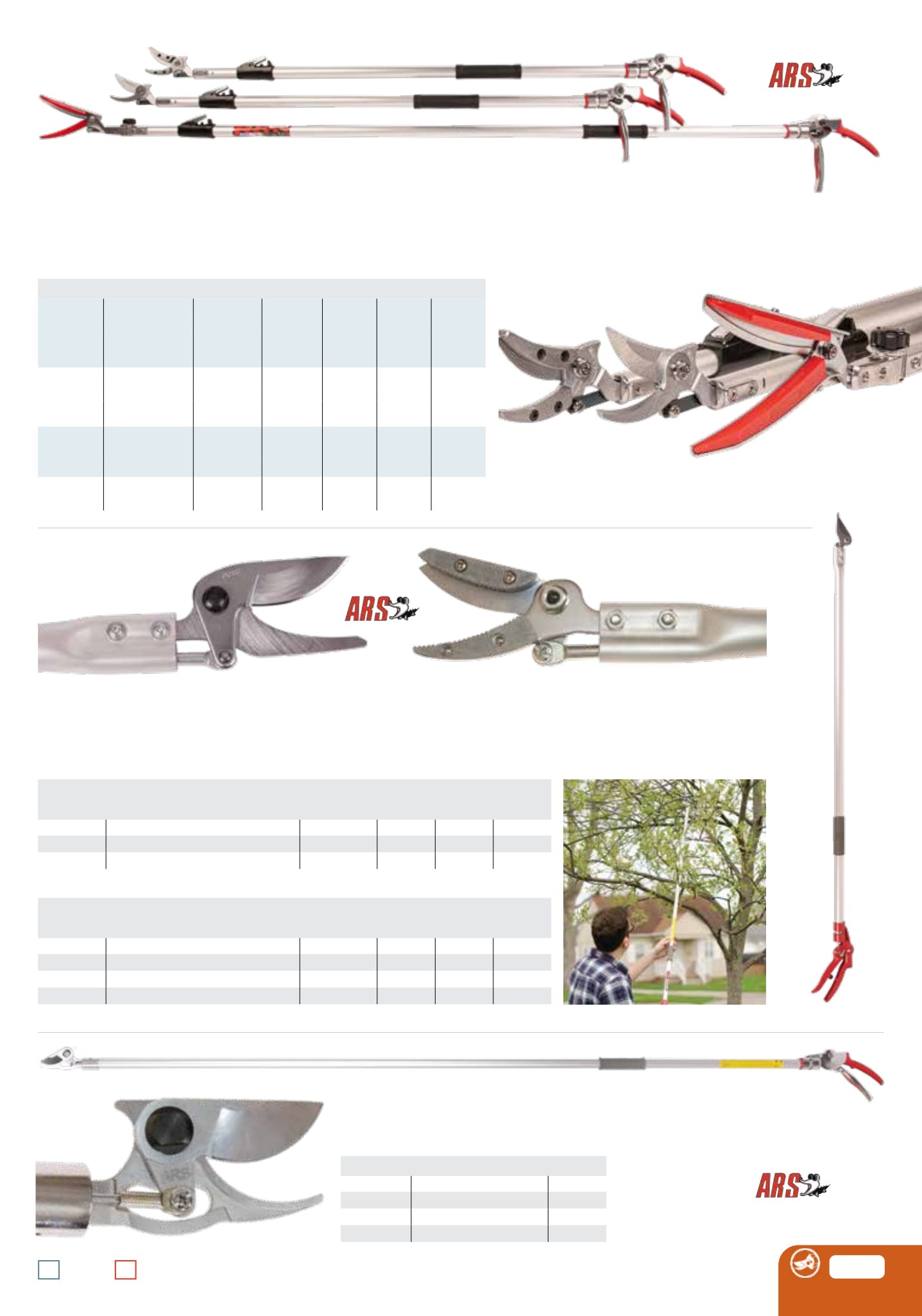 Flyer page 31
