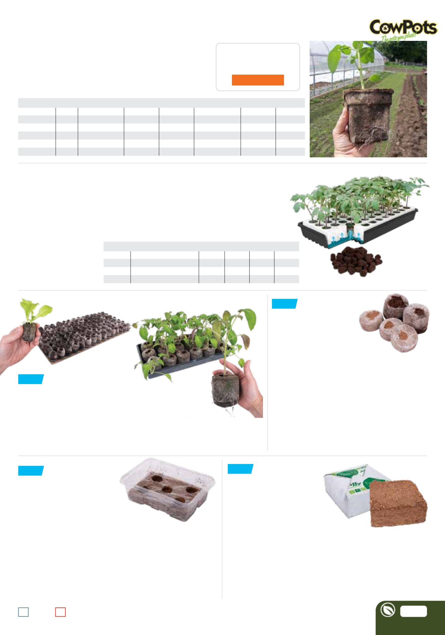 Flyer page 85