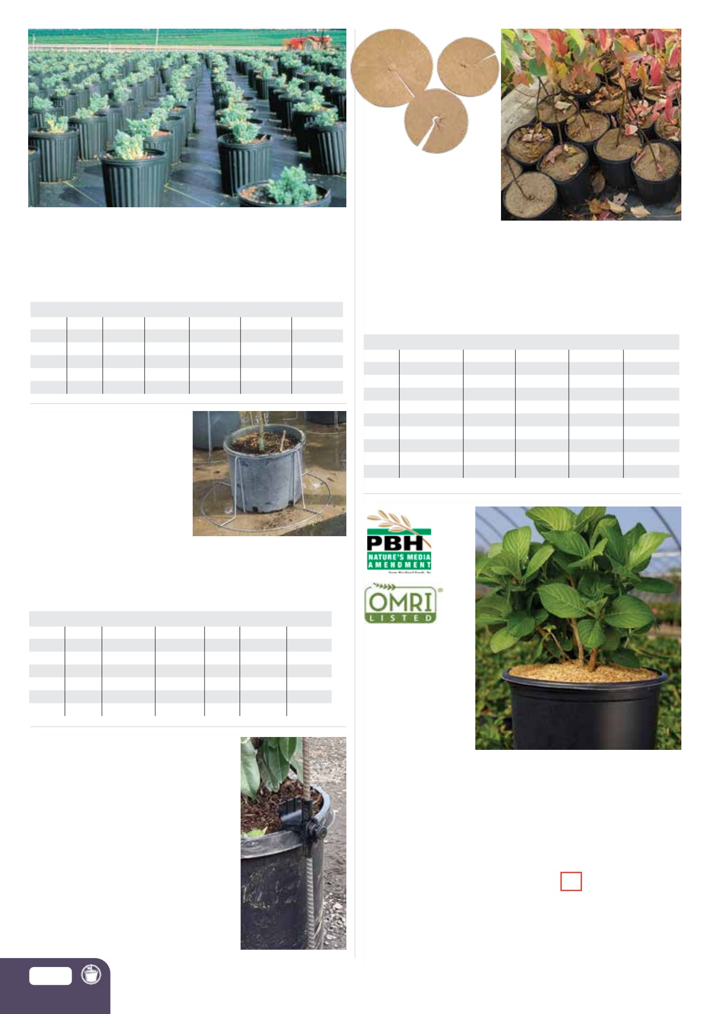 Flyer page 100