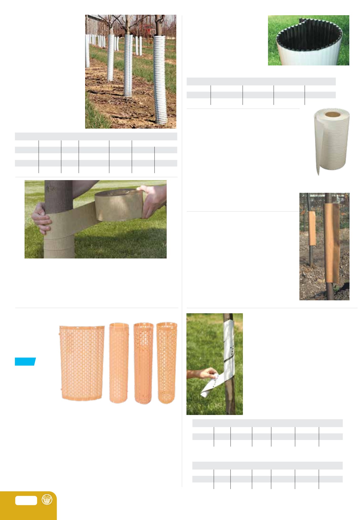 Flyer page 26