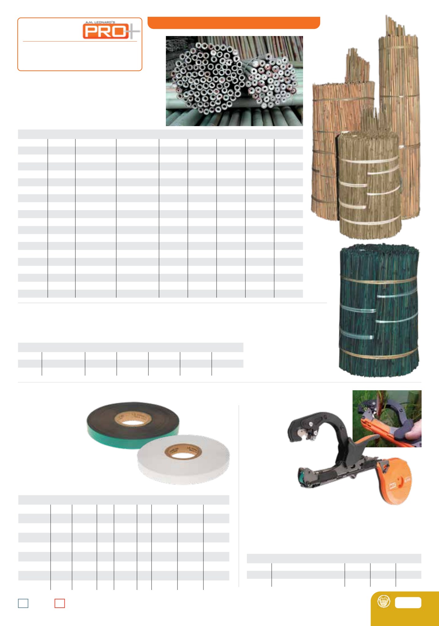 Flyer page 29