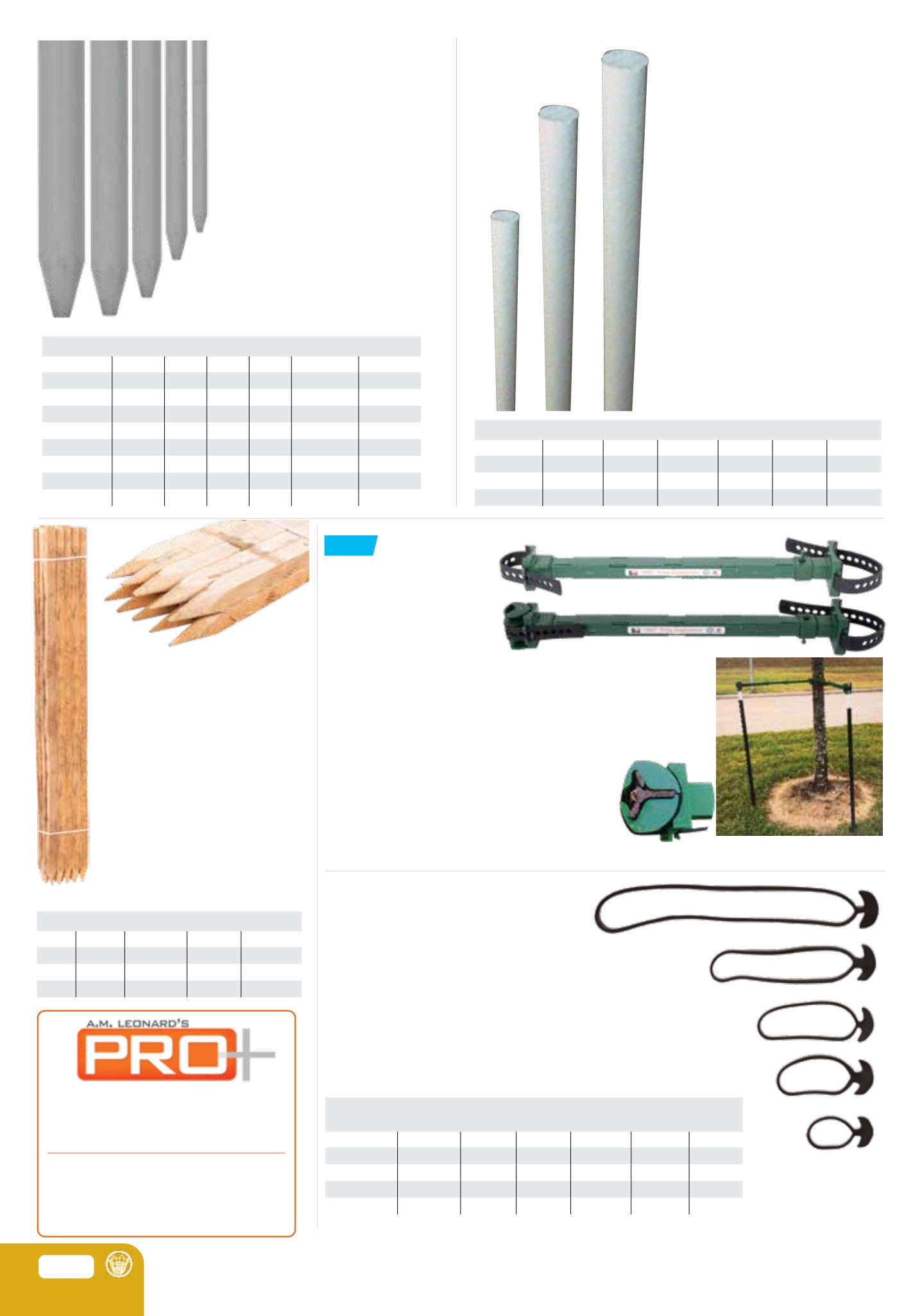 Flyer page 30