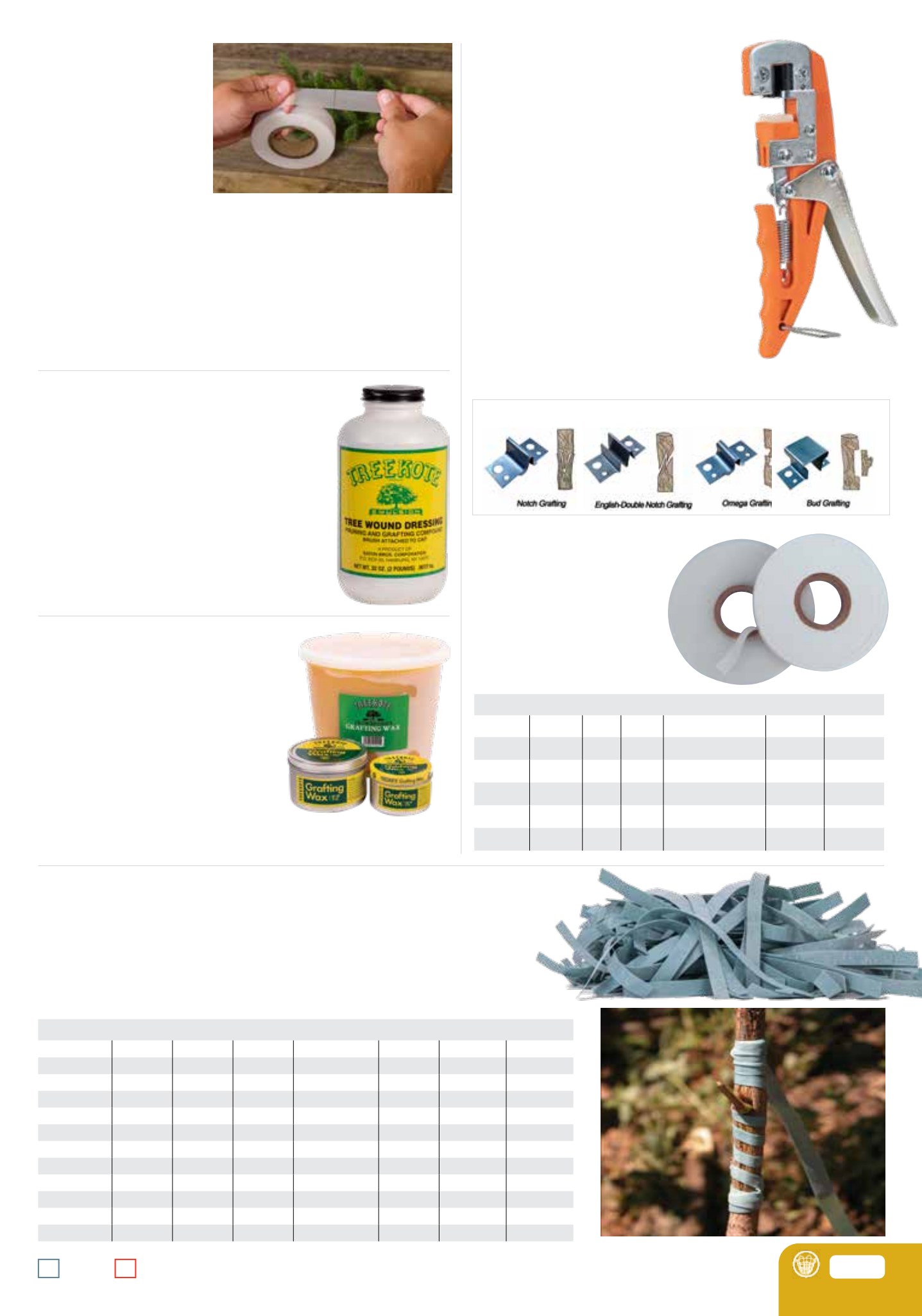 Flyer page 31
