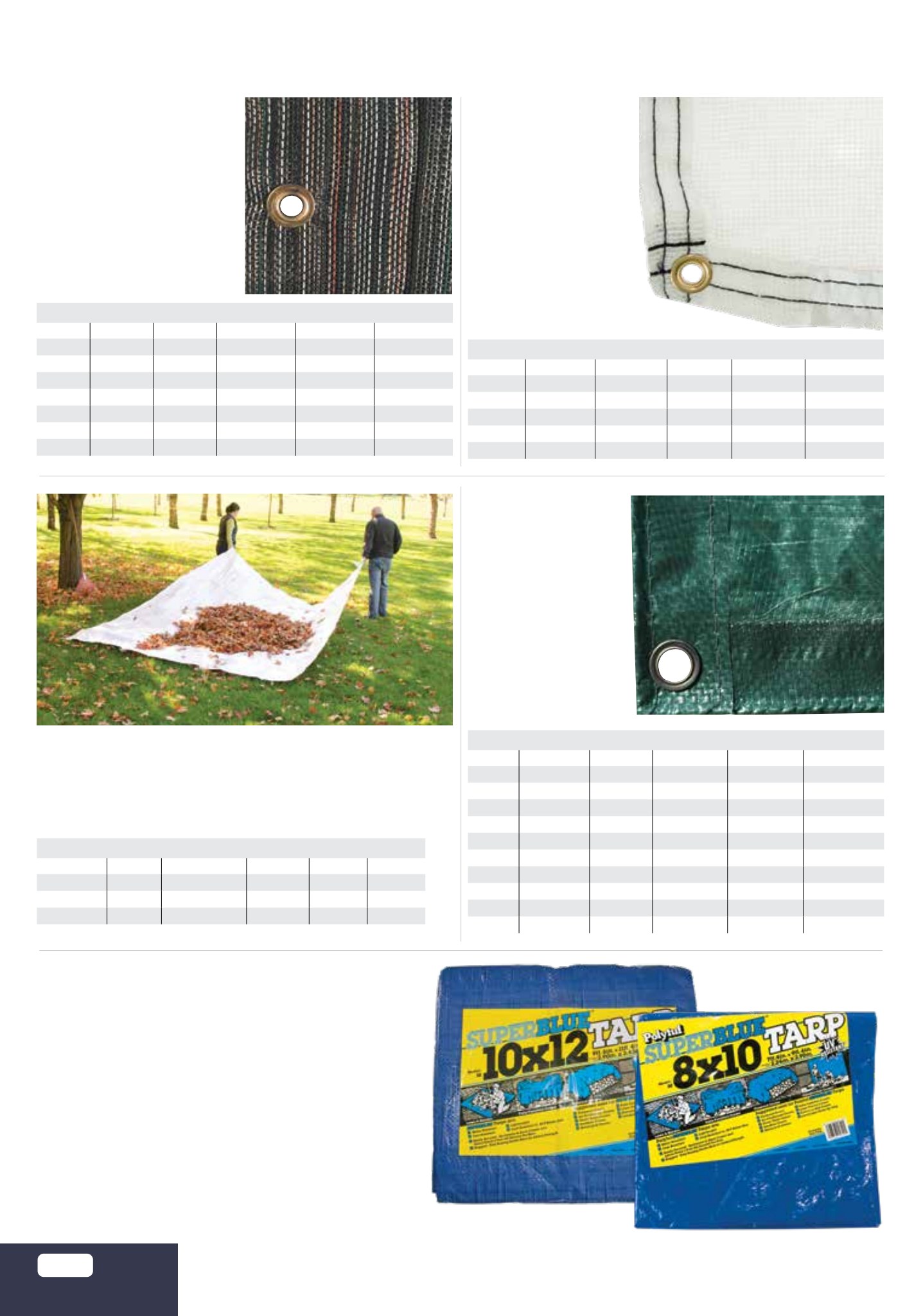 Flyer page 38