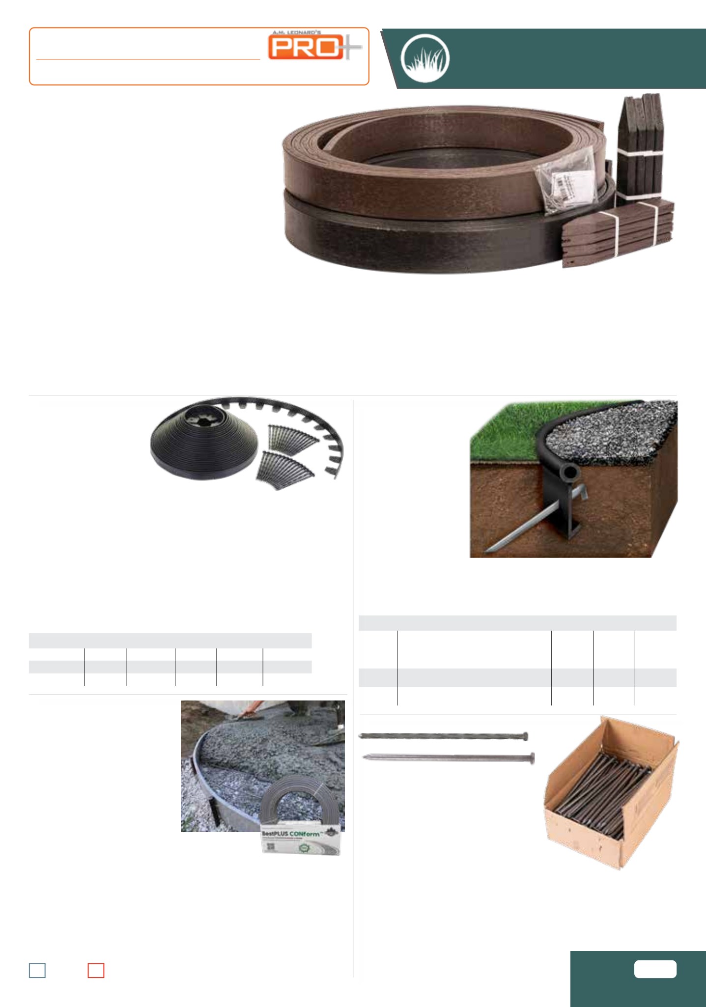 Flyer page 41