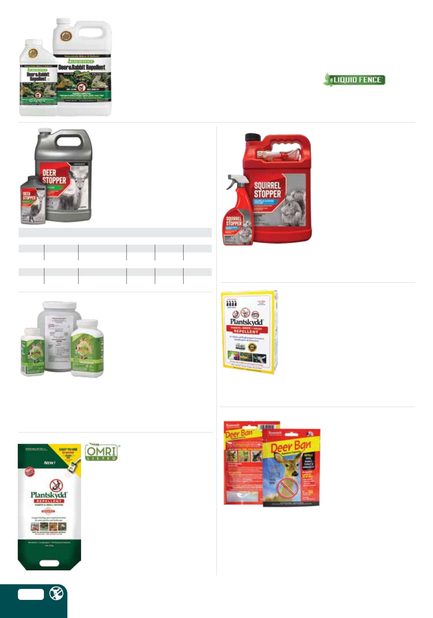 Flyer page 78