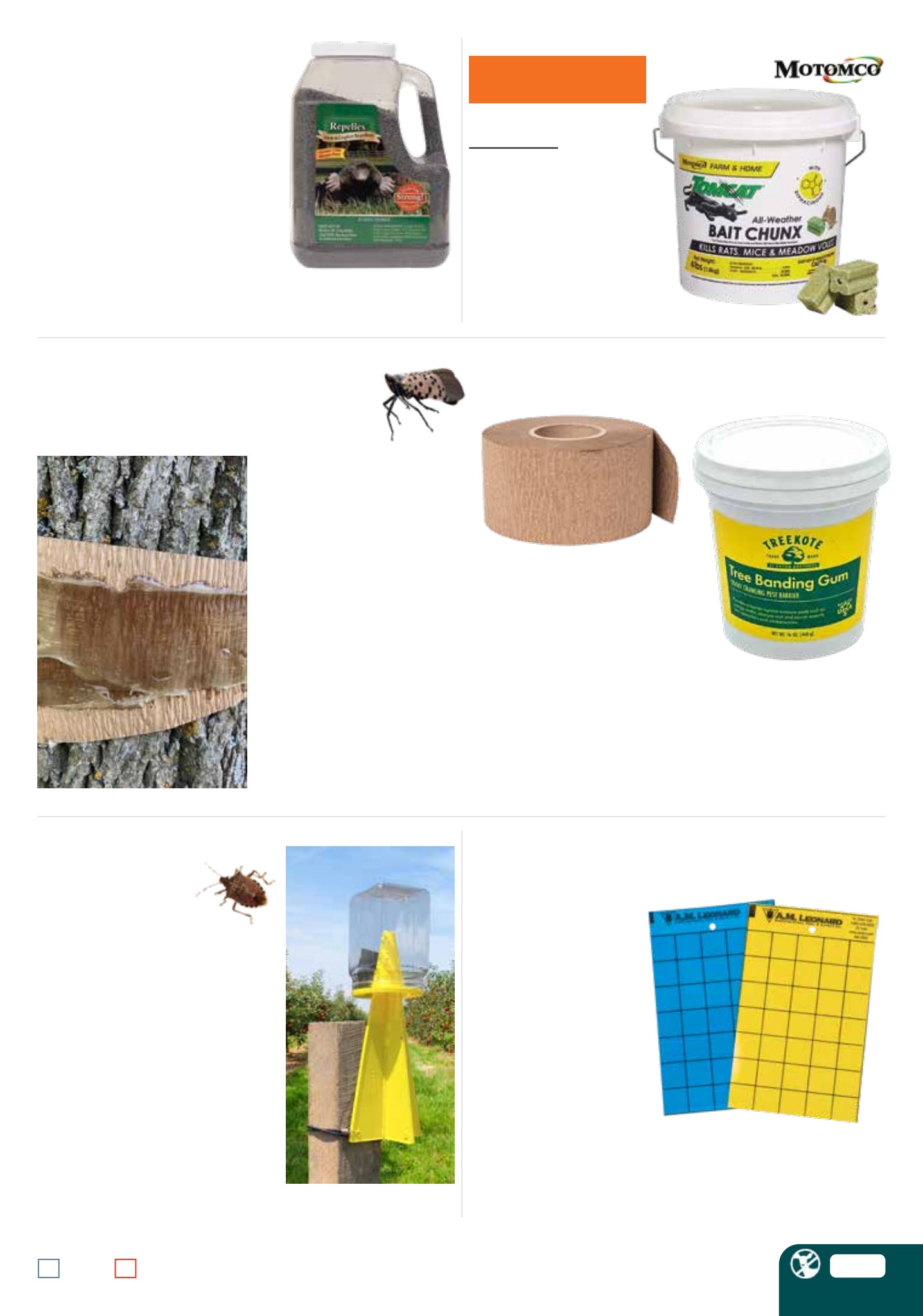 Flyer page 79