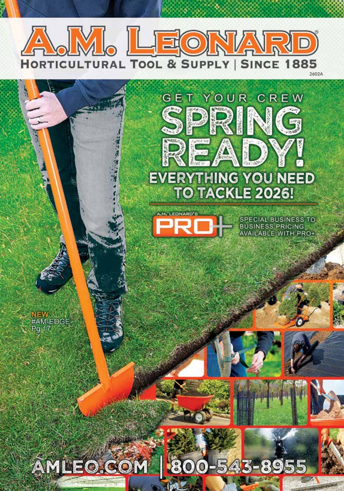 Flyer page 1