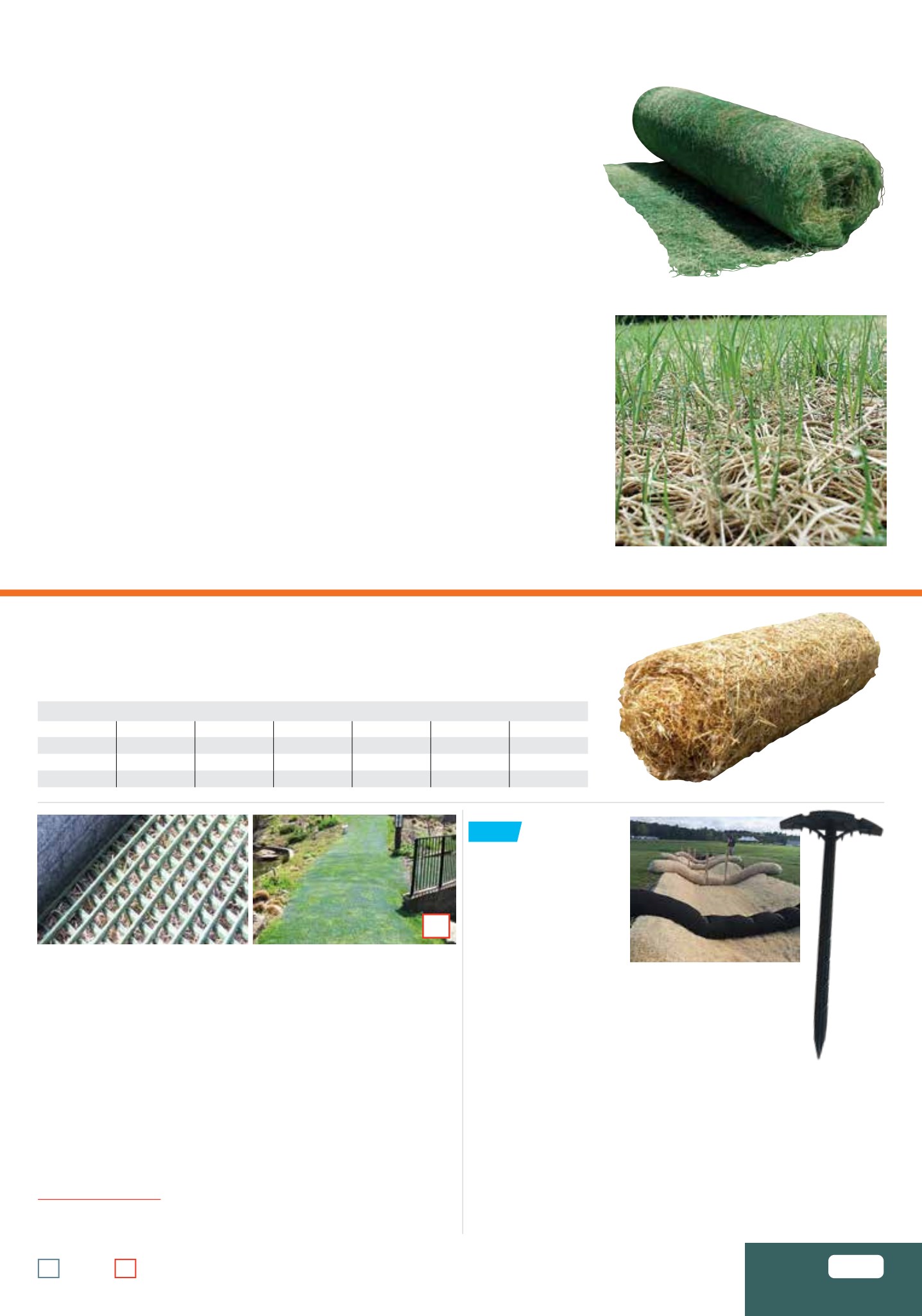 Flyer page 39