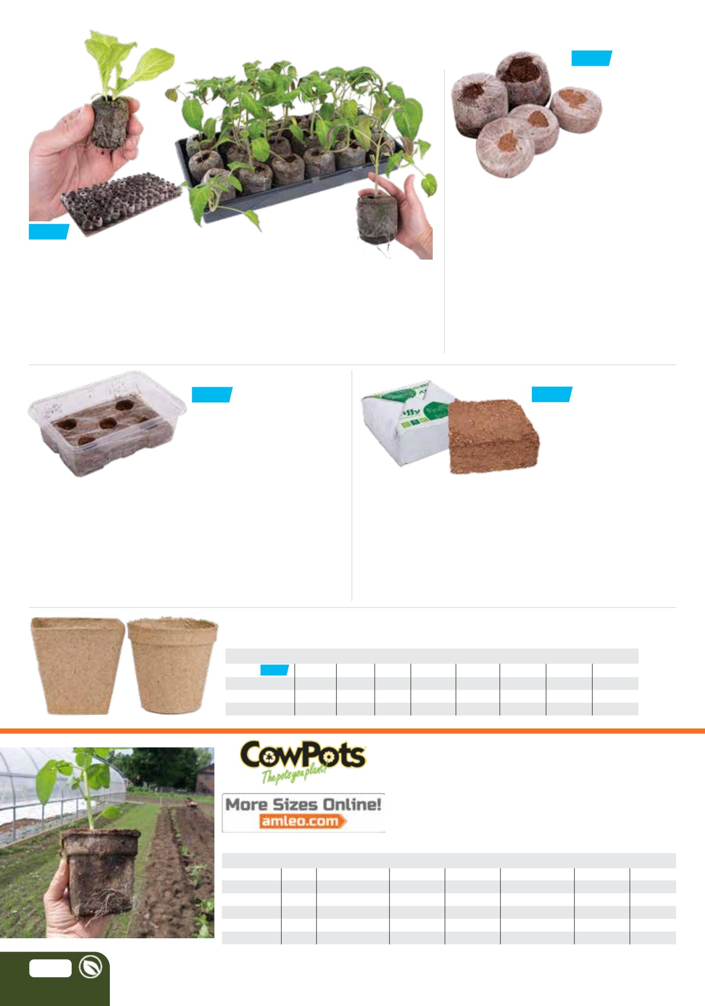 Flyer page 64