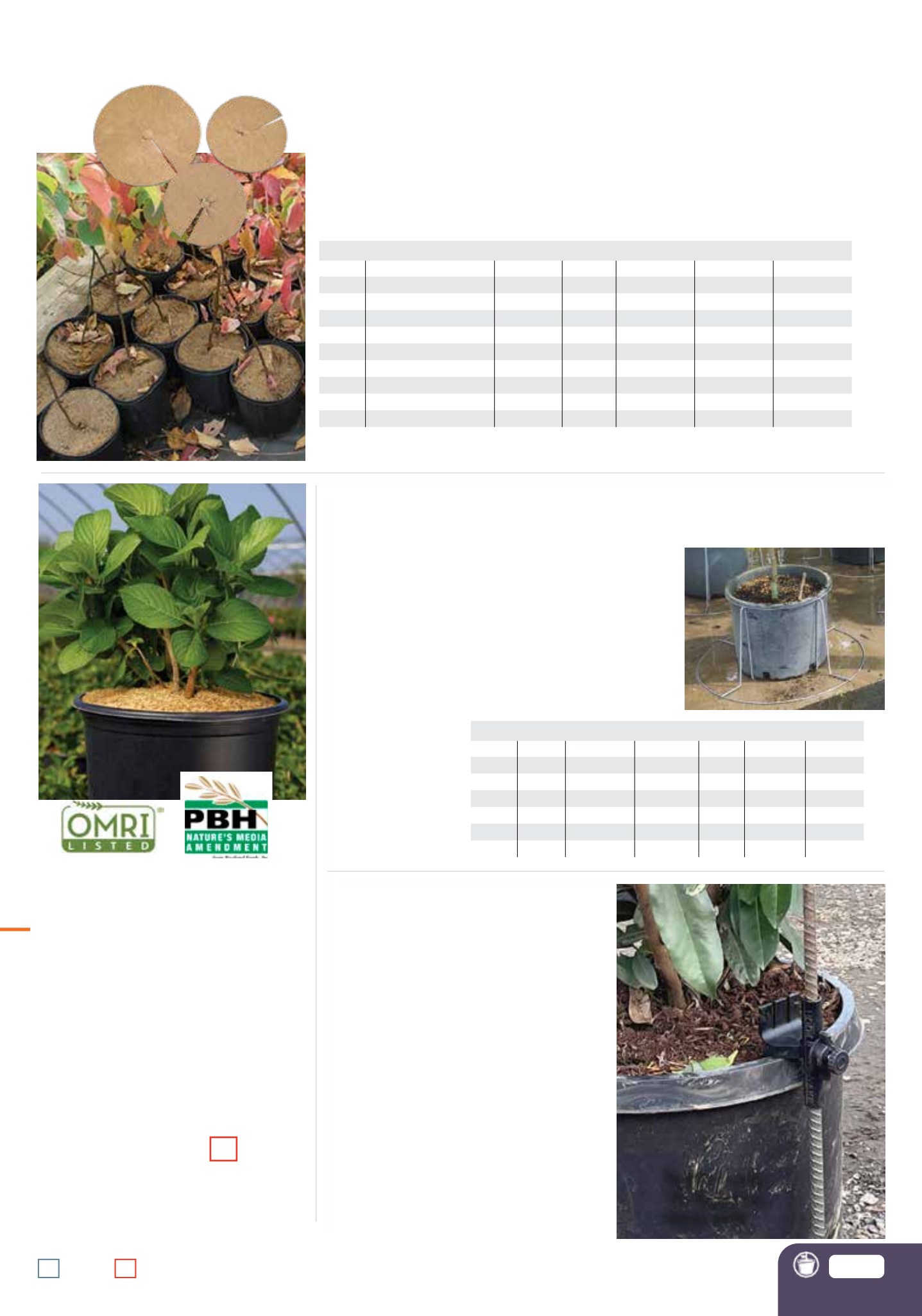 Flyer page 81