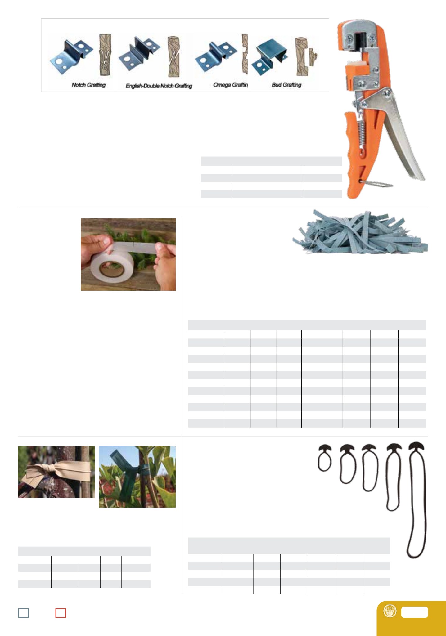 Flyer page 99