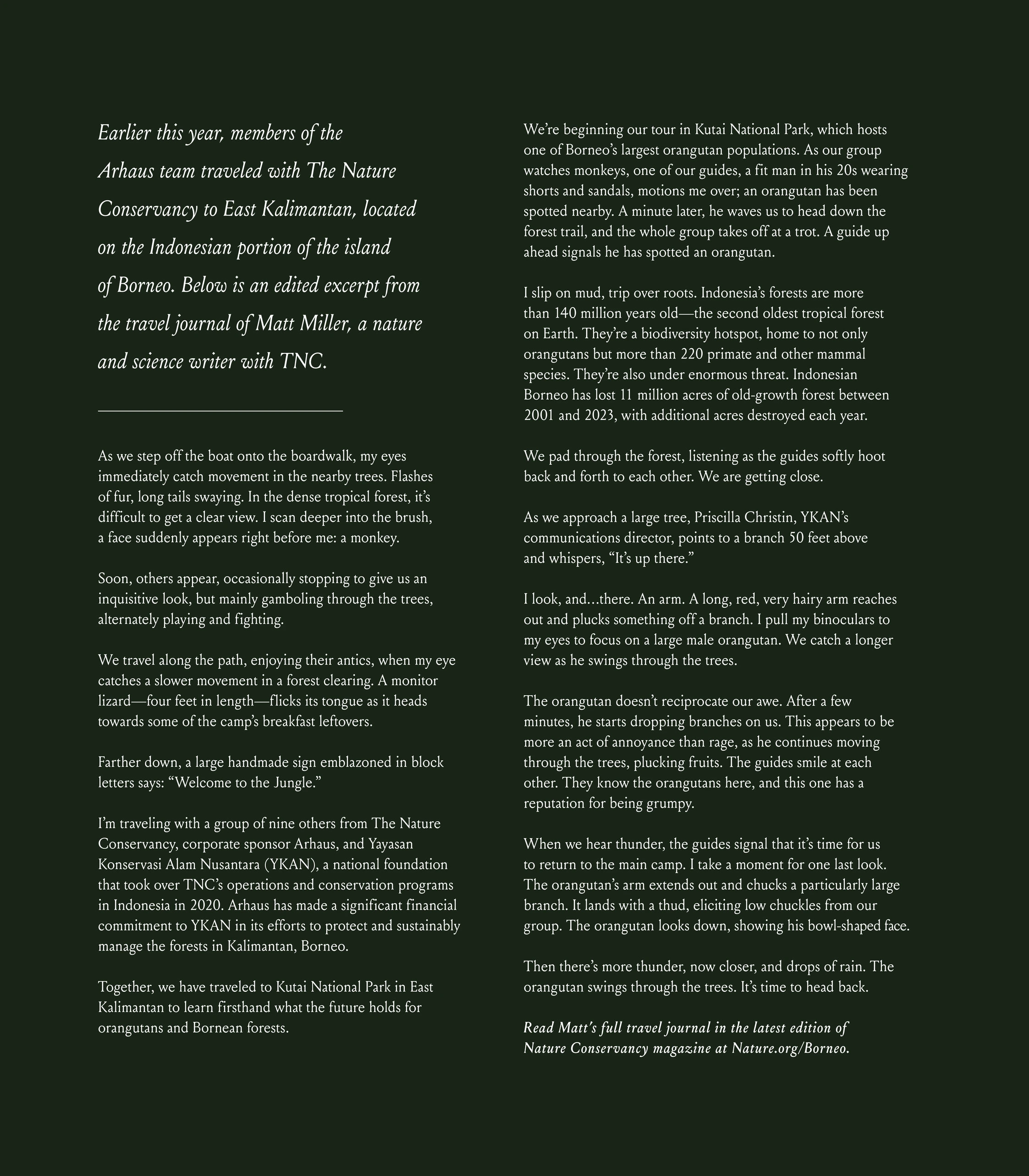 Flyer page 102