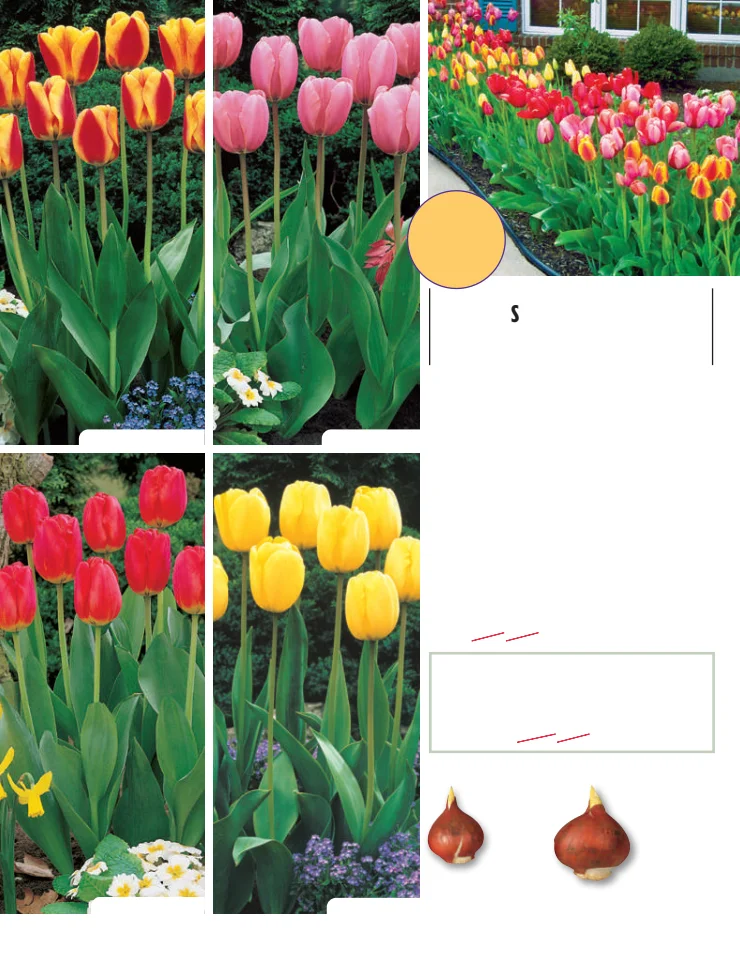 Flyer page 14