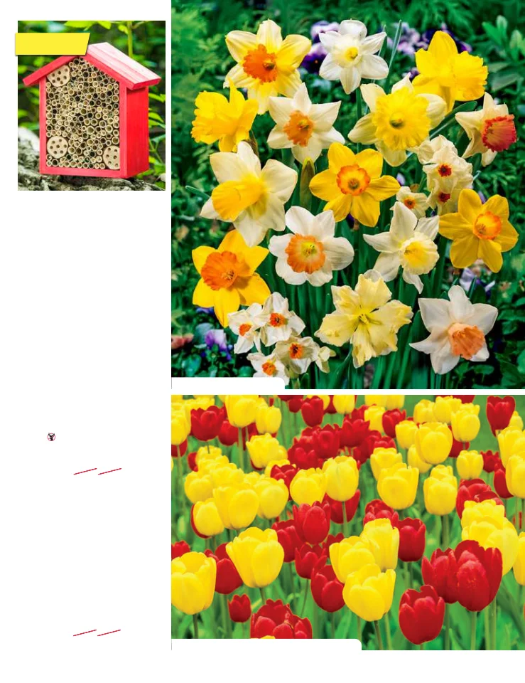 Flyer page 27