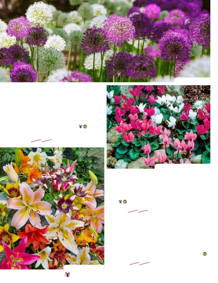 Flyer page 48