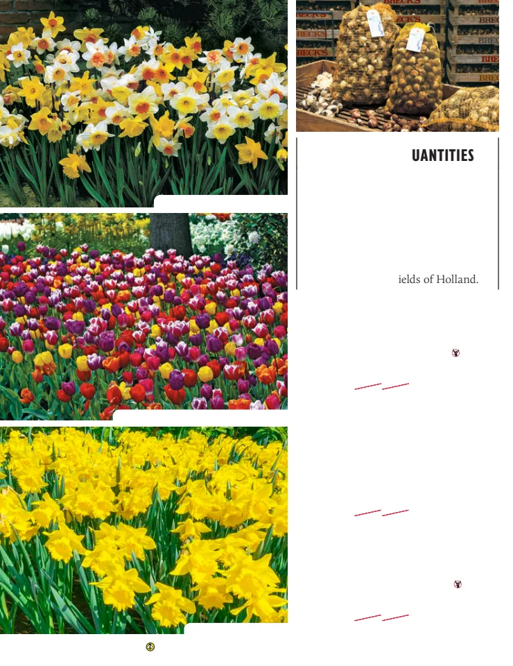 Flyer page 56