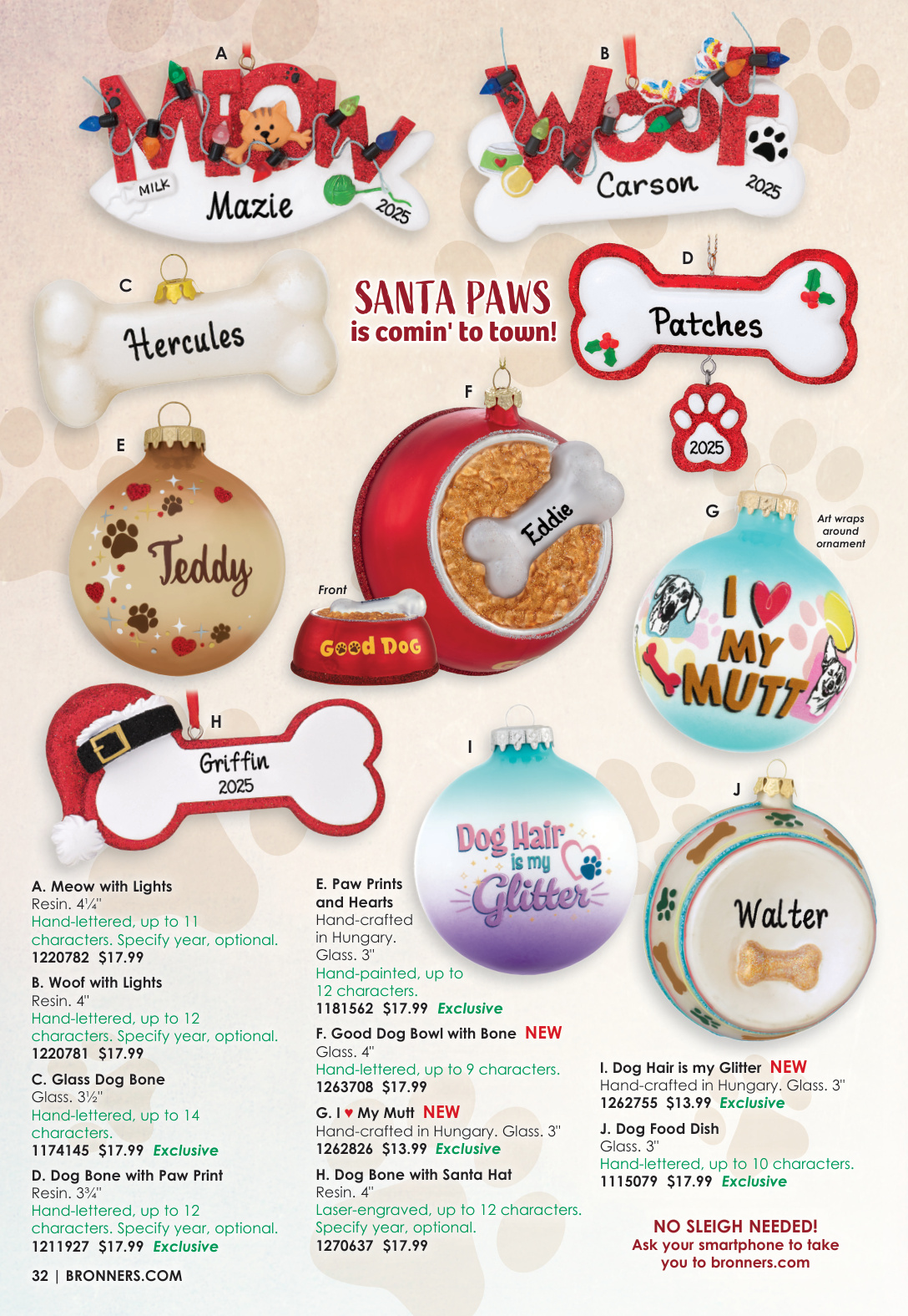 Flyer page 31