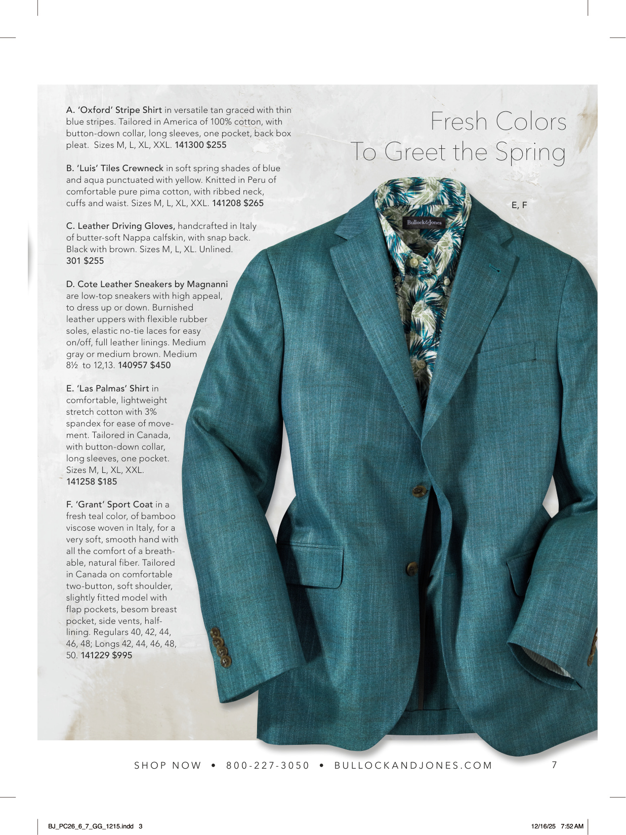Flyer page 7