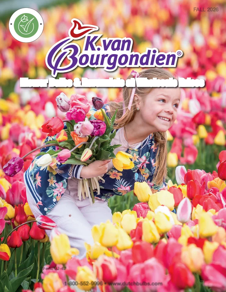 Flyer page 1