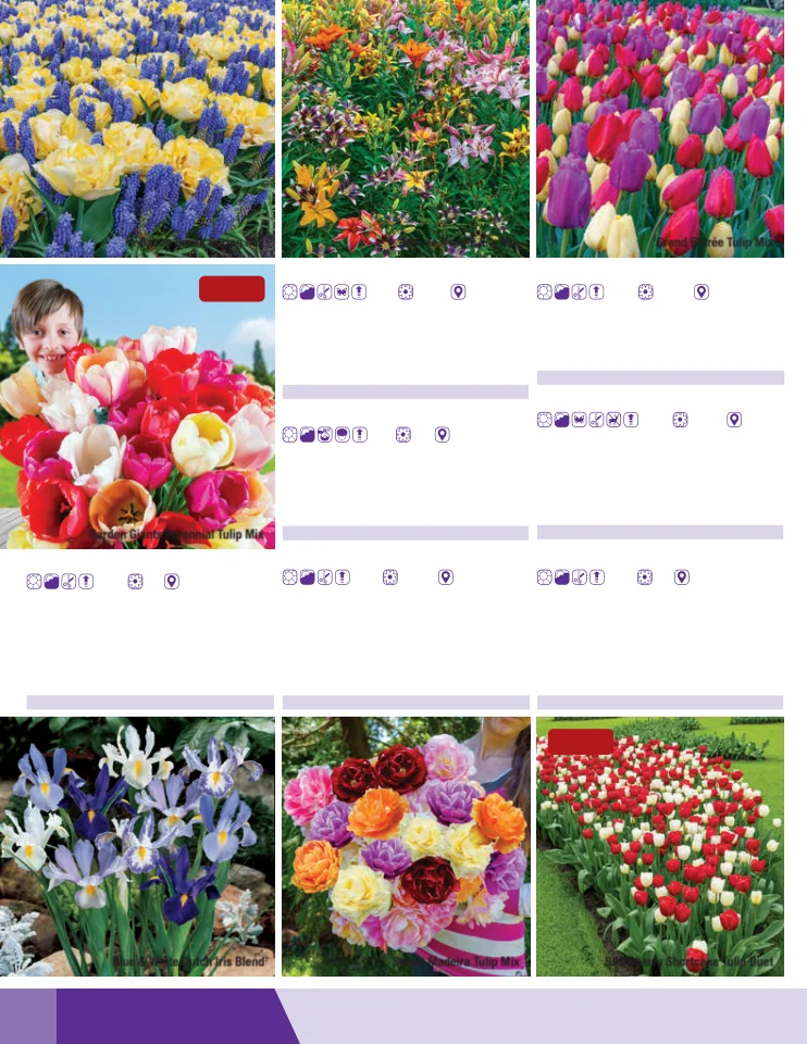 Flyer page 12
