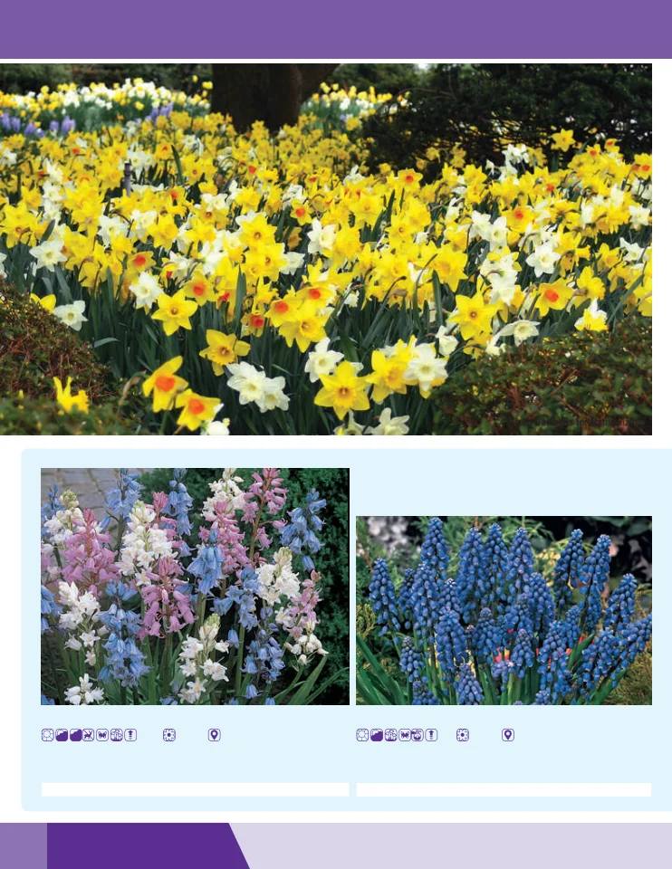 Flyer page 16