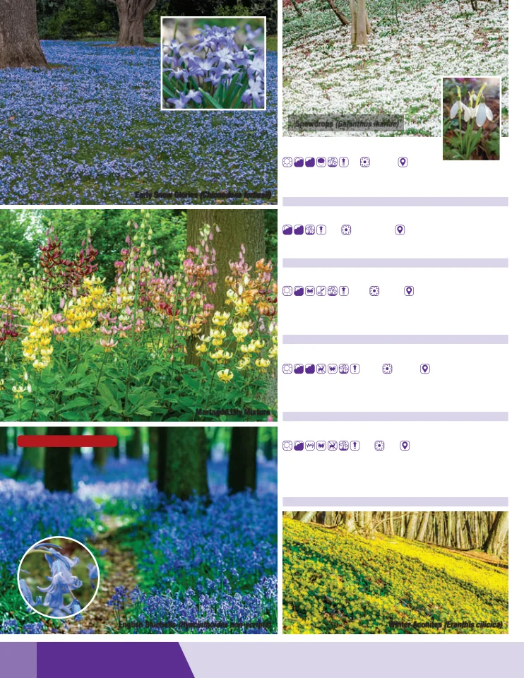 Flyer page 22