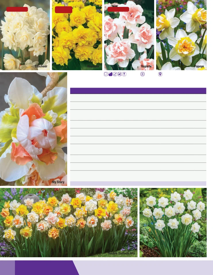 Flyer page 28