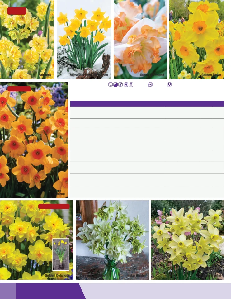 Flyer page 30