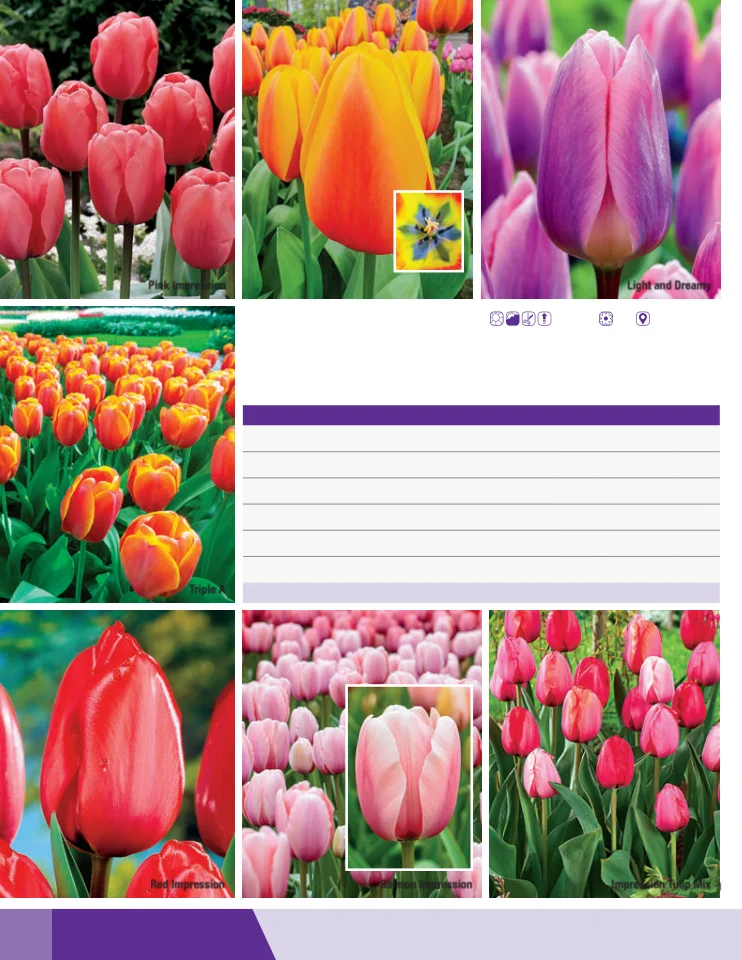 Flyer page 34