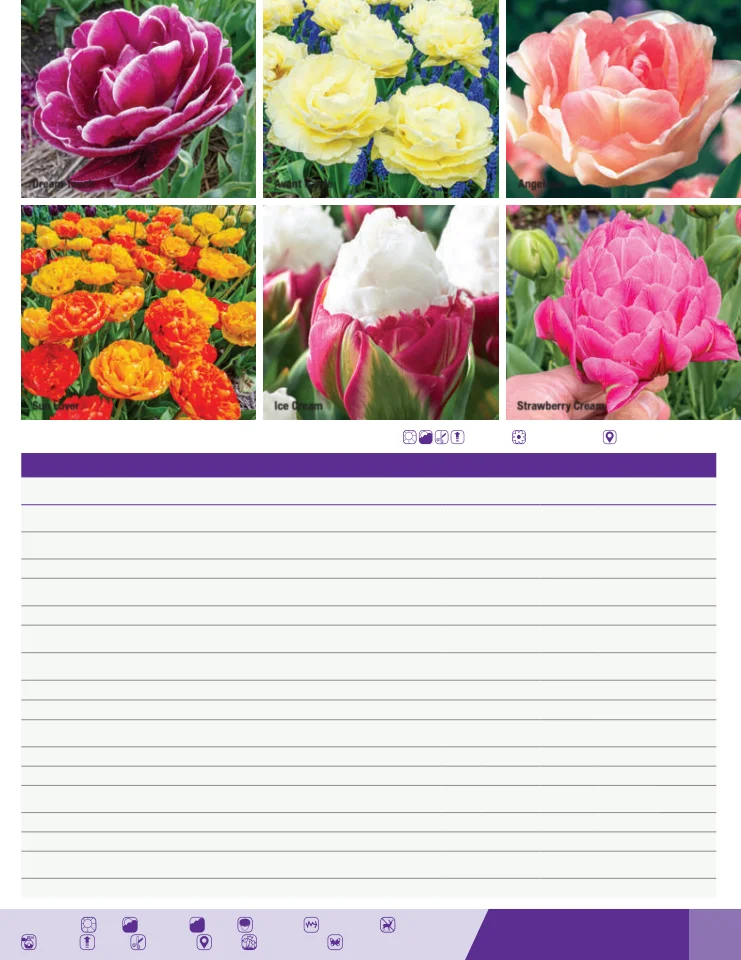 Flyer page 39