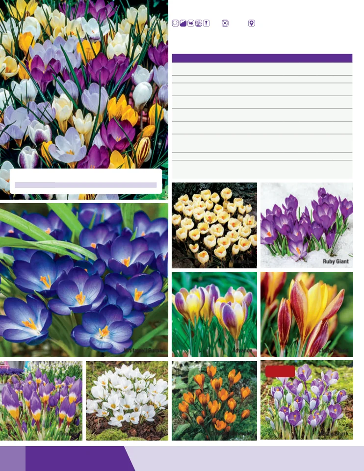 Flyer page 46