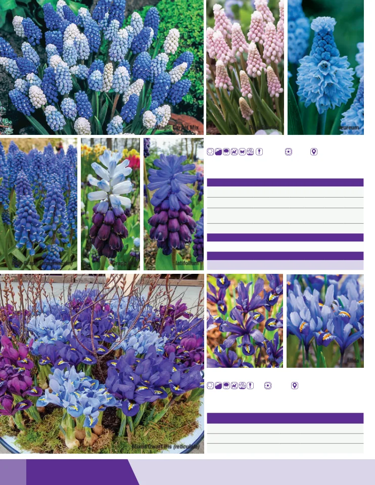 Flyer page 48