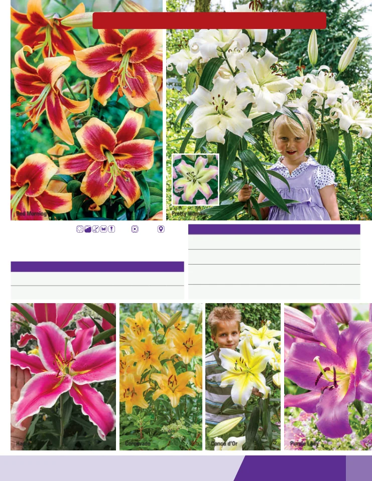 Flyer page 57