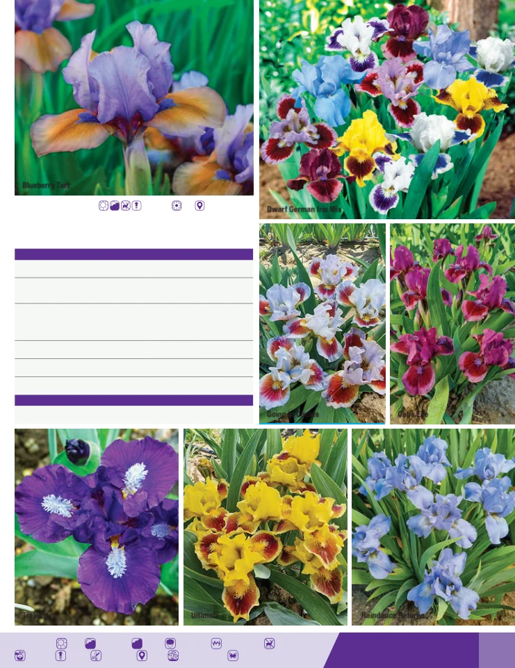 Flyer page 59
