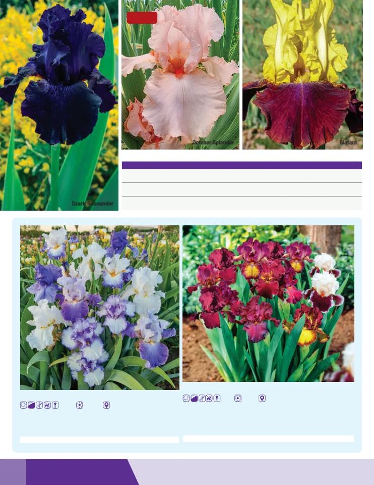 Flyer page 62