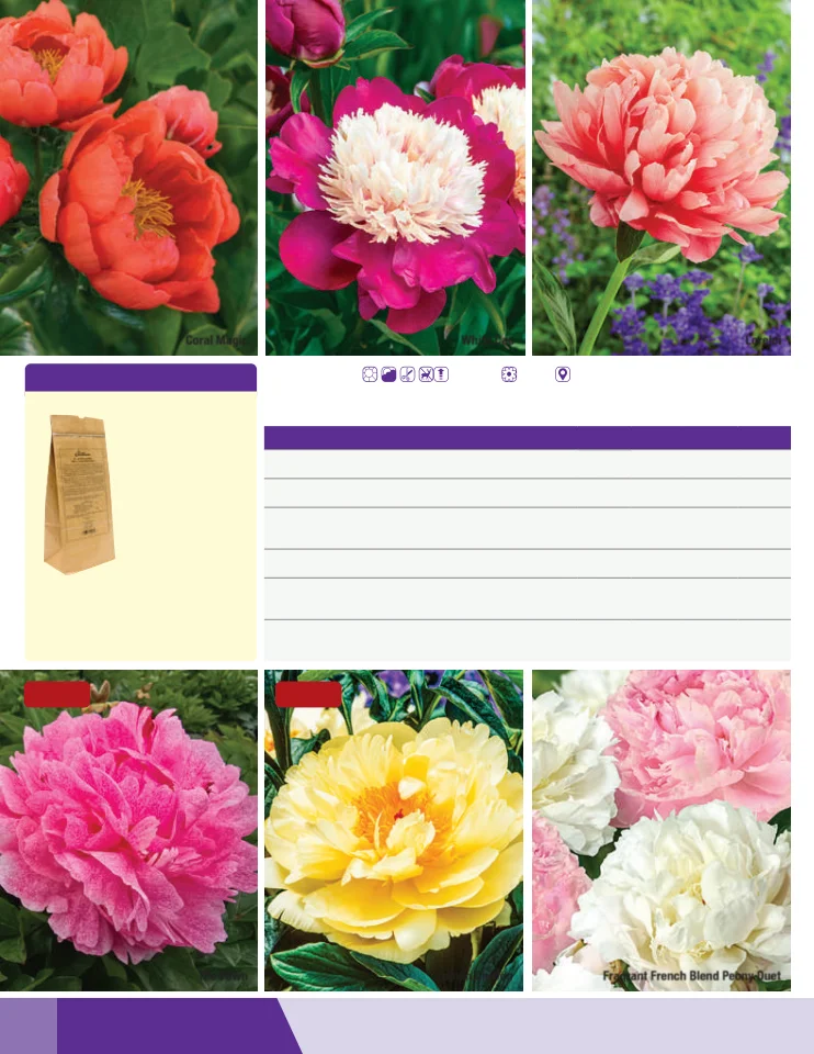 Flyer page 66