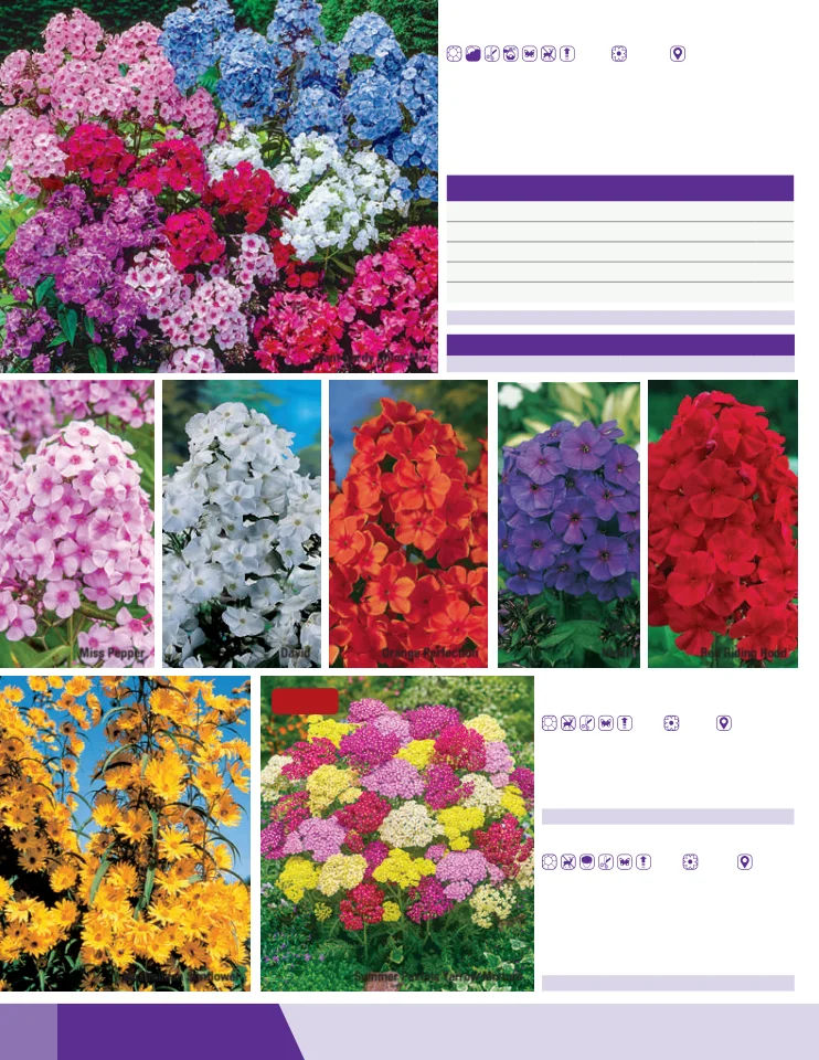 Flyer page 68