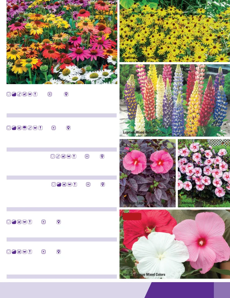 Flyer page 69