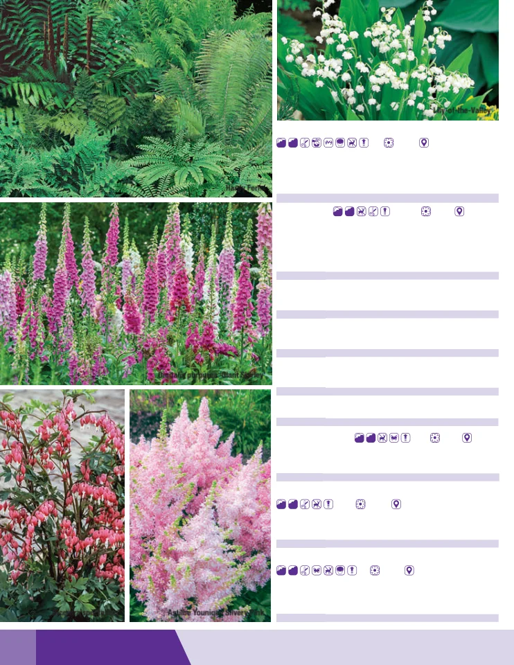Flyer page 70