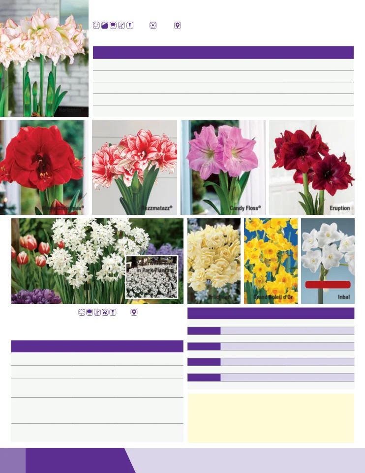 Flyer page 74