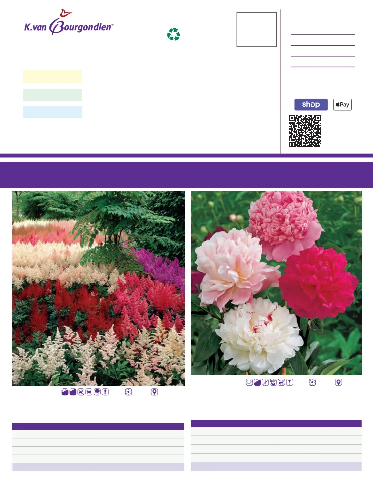 Flyer page 77